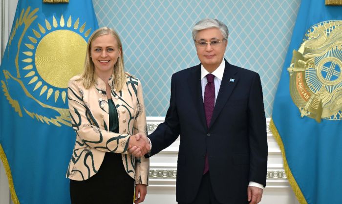 Президент принял действующего председателя ОБСЕ Элину Валтонен