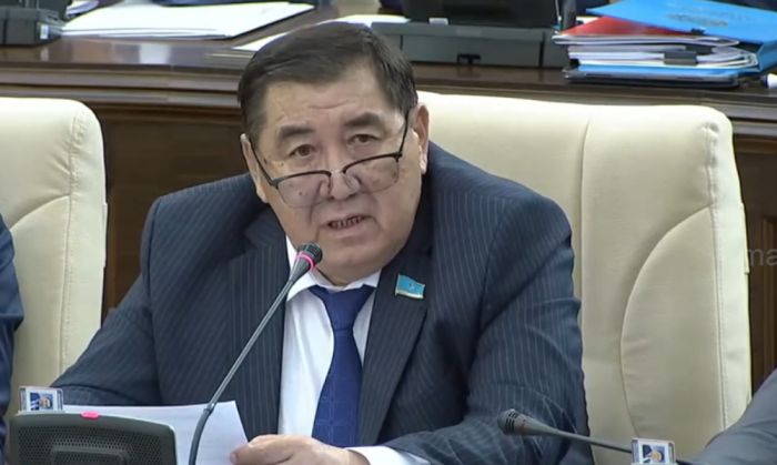 ​Коррупционеры не попадут под амнистию, приуроченную к 30-летию Конституции Казахстана