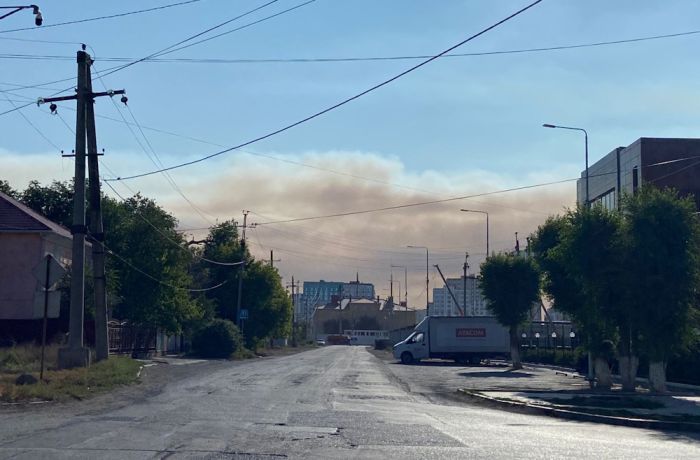Детёныш дикого кабана оказался в ловушке горящего тростника