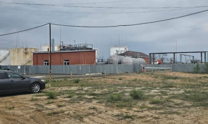 Обещанное озеленение заводом в Кульсары обернулось сухостоем