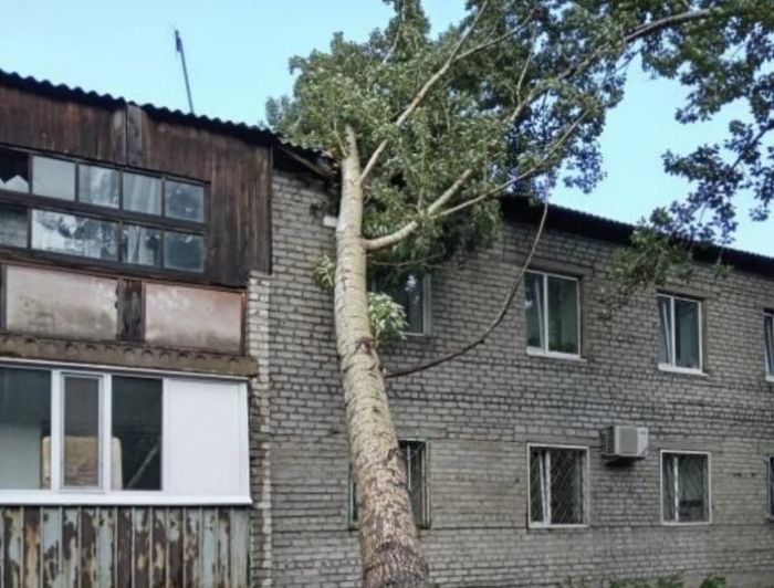 Ураган в Павлодарской области: один погибший, 16 пострадавших и десятки разрушений