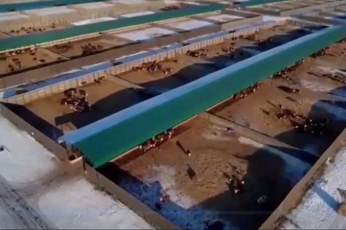 В ЗКО инвестору​ возвращены субсидии 