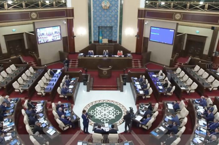 Мажилис утвердил изменения в Налоговый кодекс и законы о силовиках