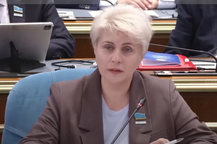 Где деньги от приватизации? Депутат Кучинская требует ответов у Минфина и ВАП