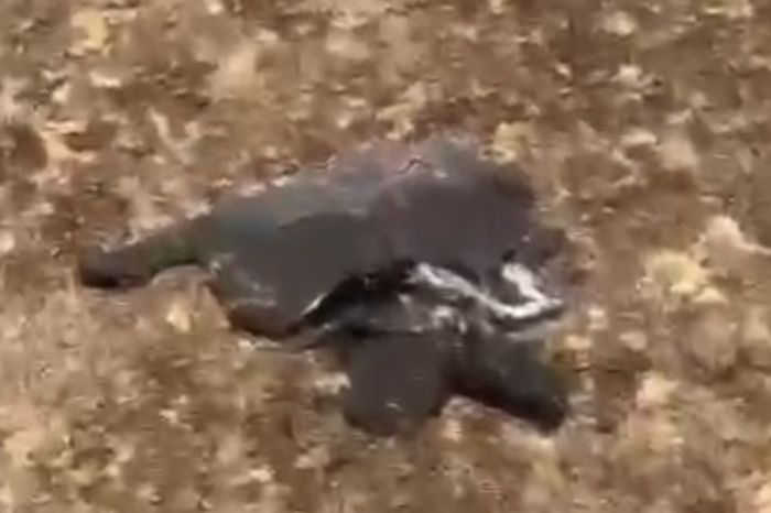 Что за объект упал в атырауской степи — выясняет комиссия