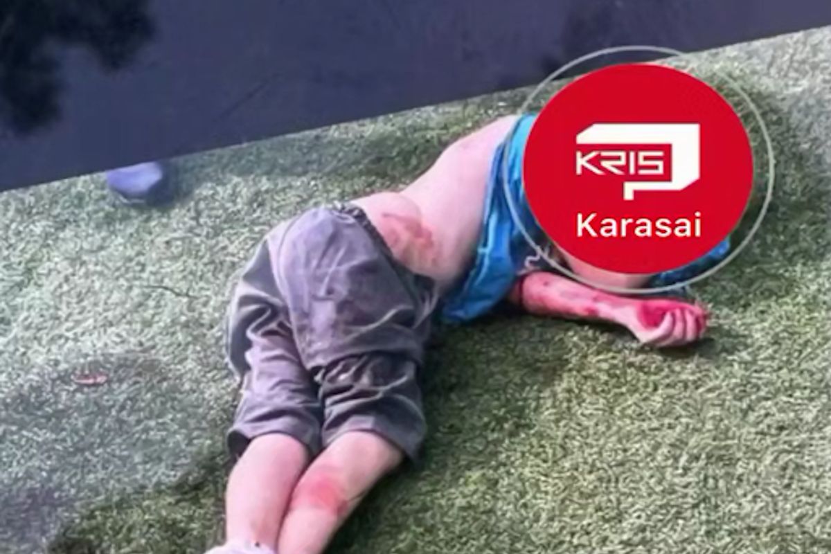 скриншот видео