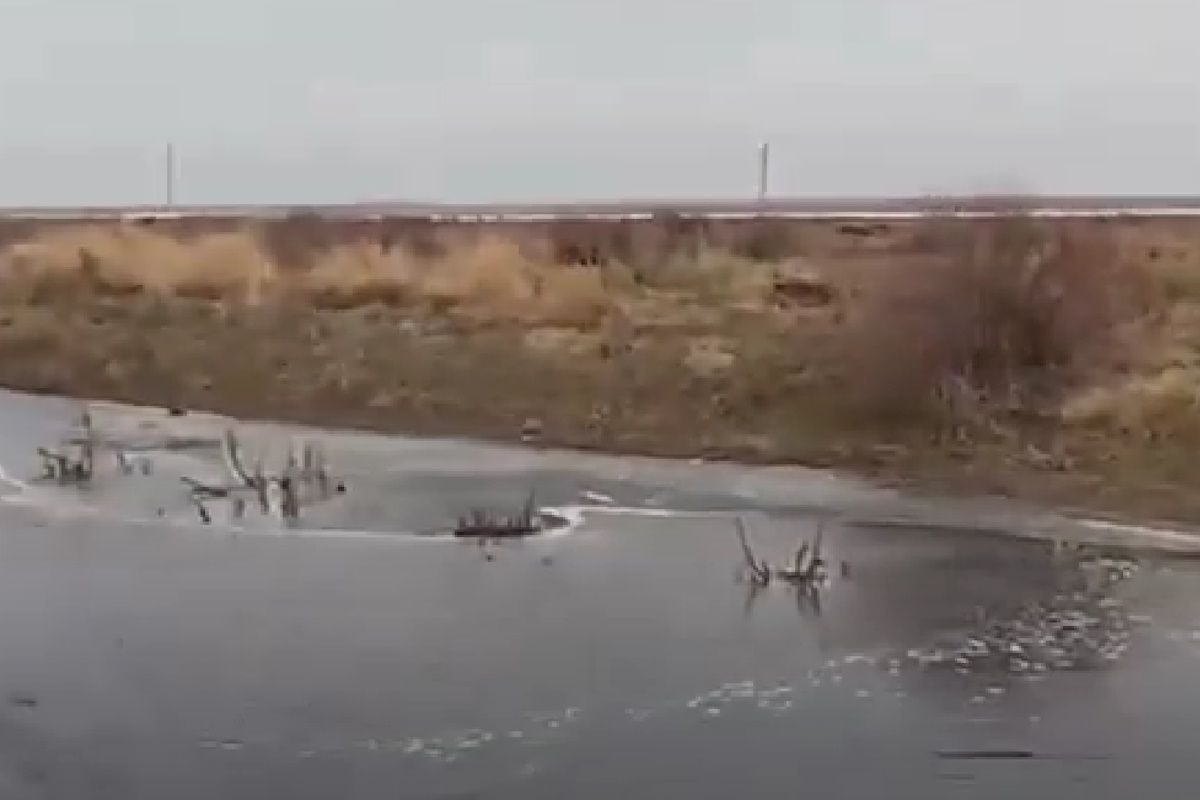 канал Баксай, скриншот видео