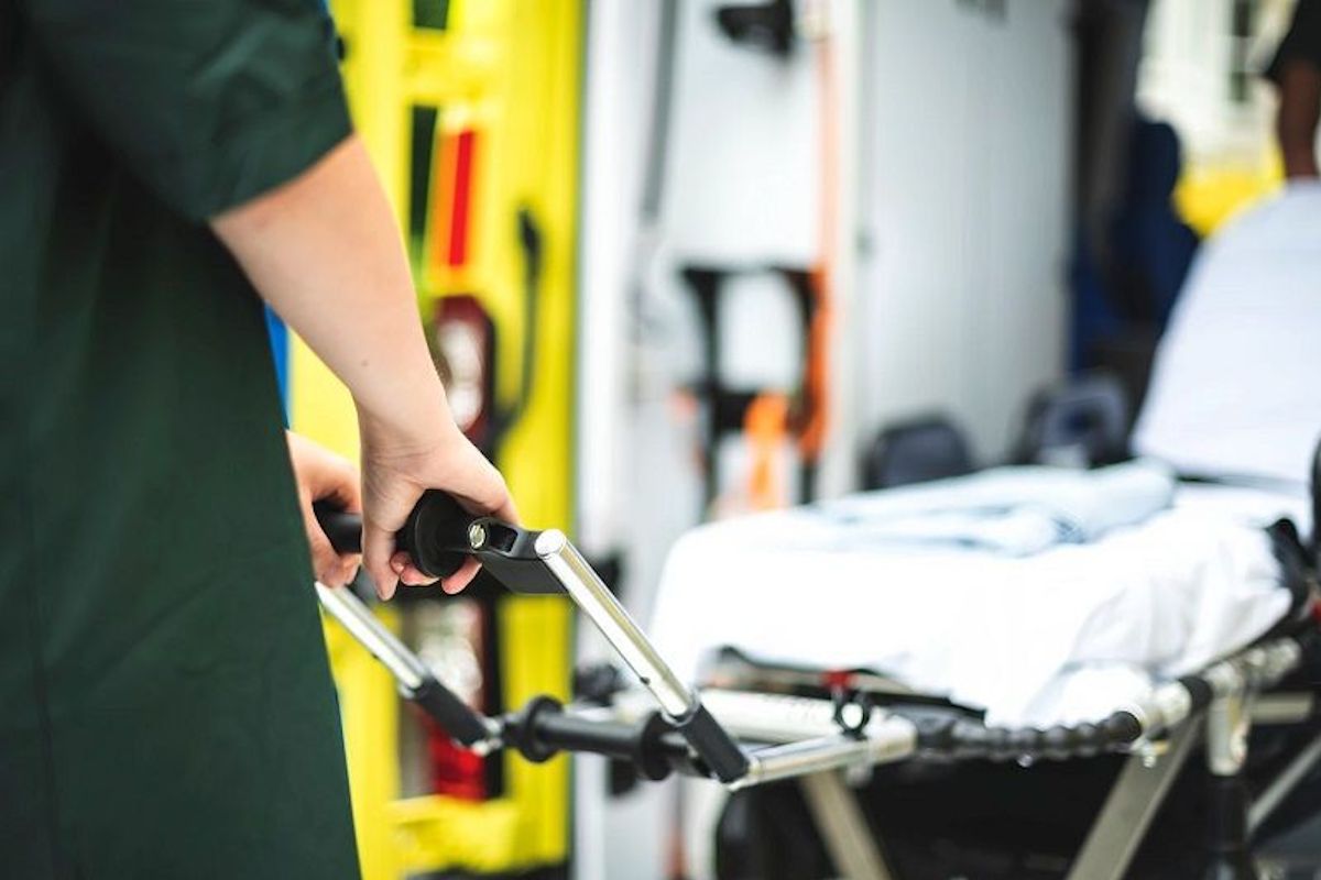 Фото: freepik.com