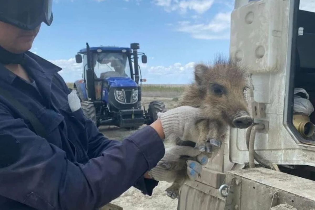 фото МЧС РК