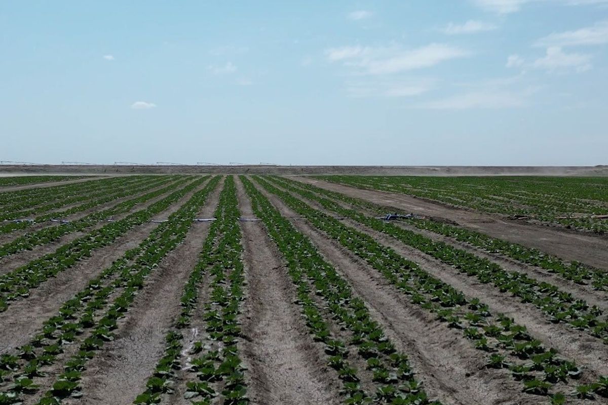 фото Региональной службы коммуникаций
