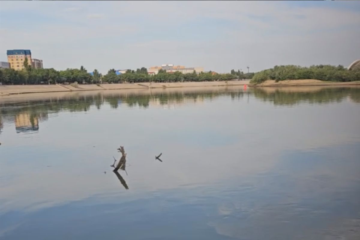 скриншот видео скриншот видео