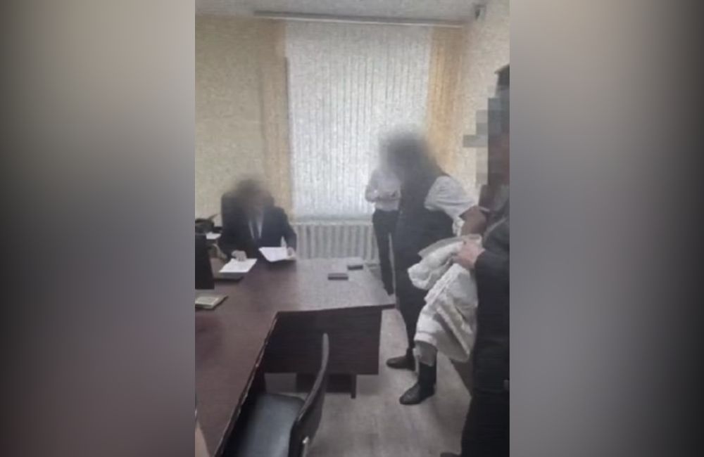 скриншот видео