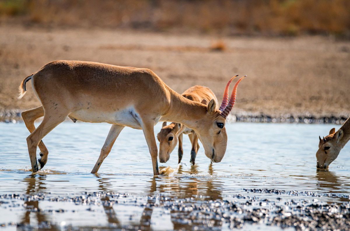 фото Canva фото Canva