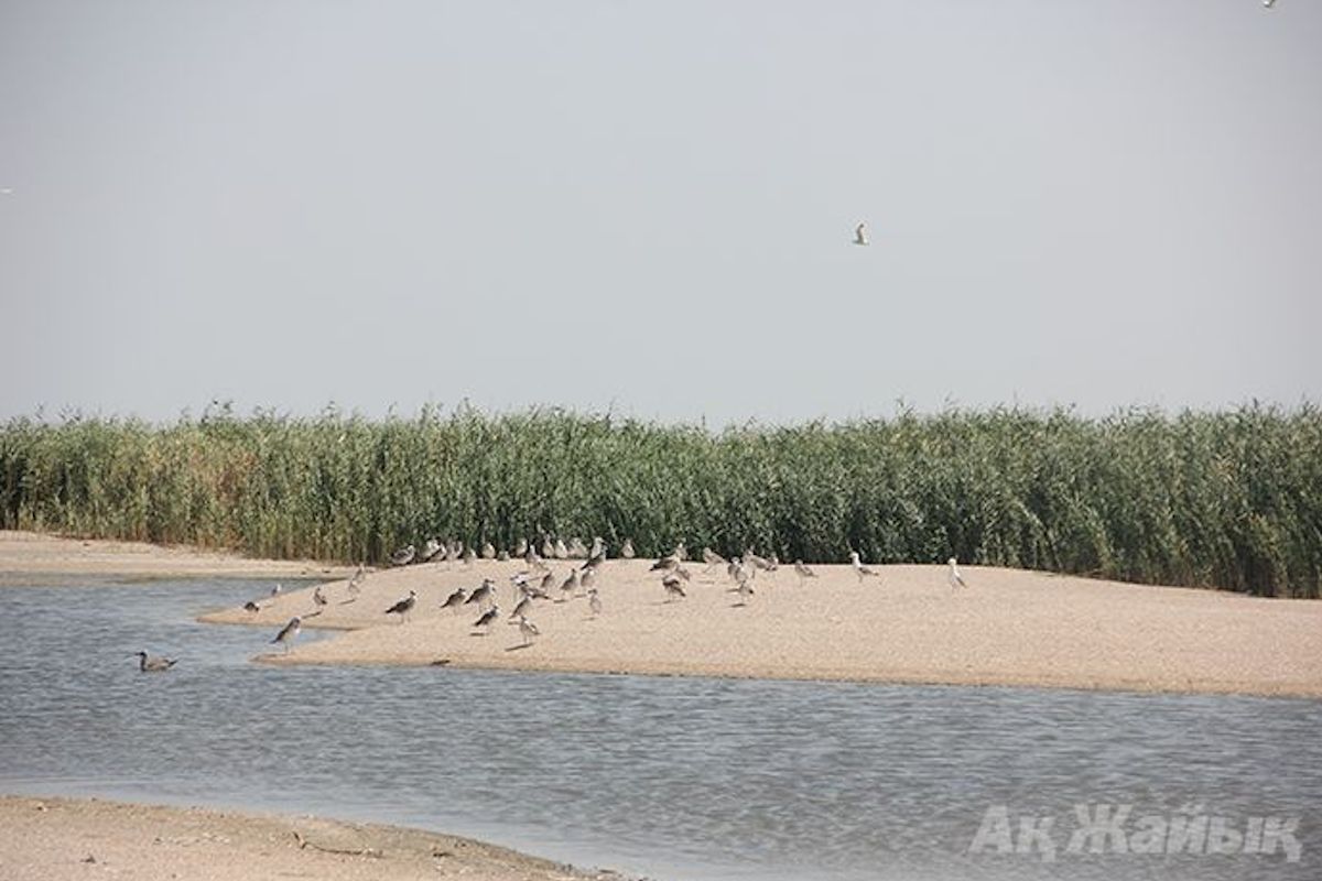 фото из архива АЖ фото из архива АЖ