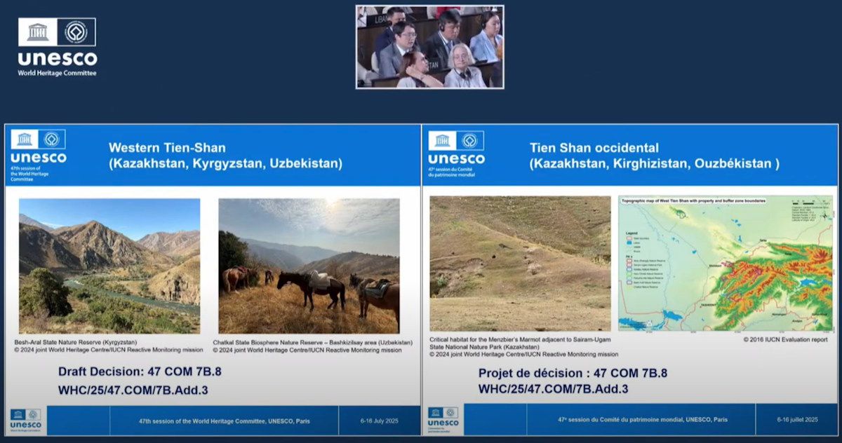 стоп-кадр видео