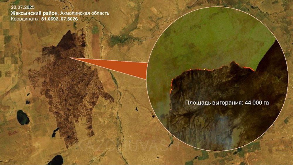 иллюстрация Кирилла Павлова иллюстрация Кирилла Павлова