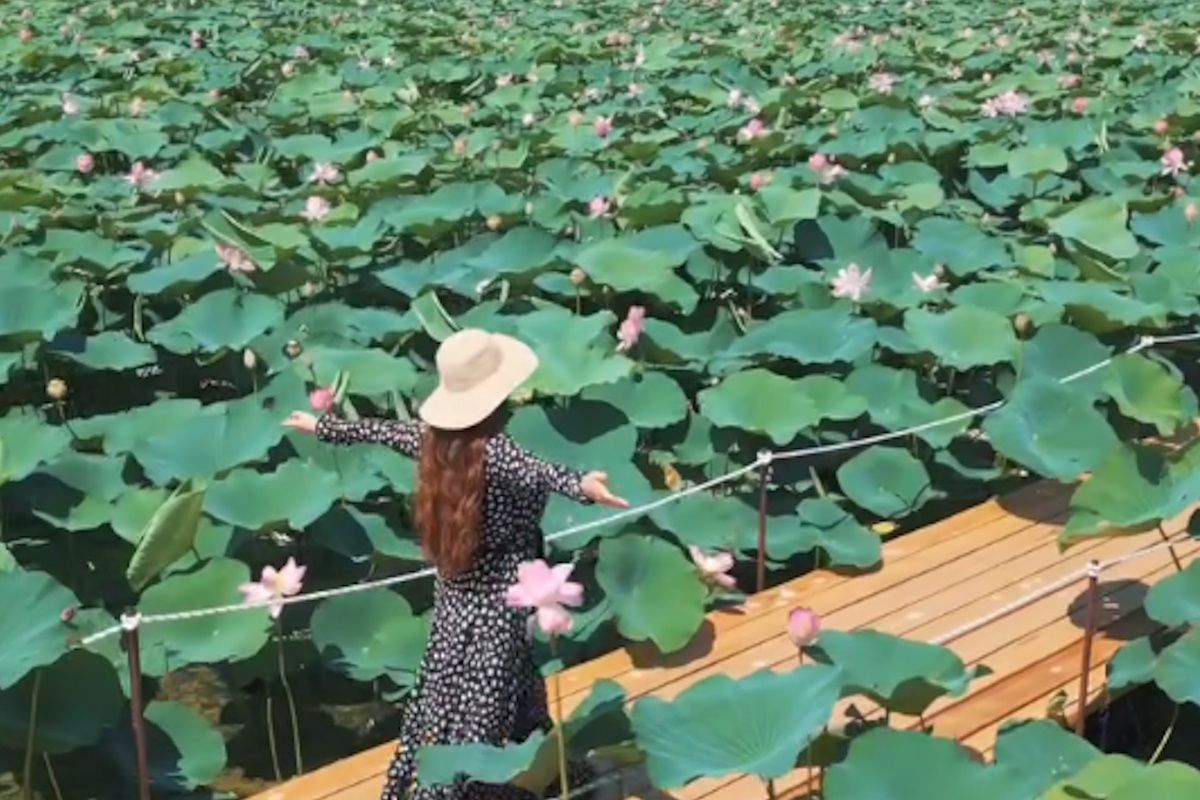 скриншот видео скриншот видео