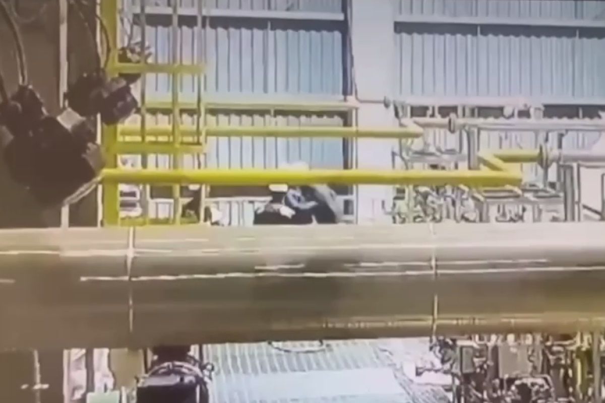 скриншот видео скриншот видео