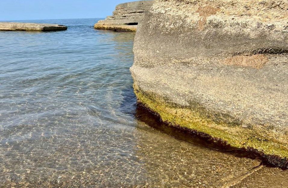 побережье Каспия, фото kaspnirh.vniro.ru побережье Каспия, фото kaspnirh.vniro.ru