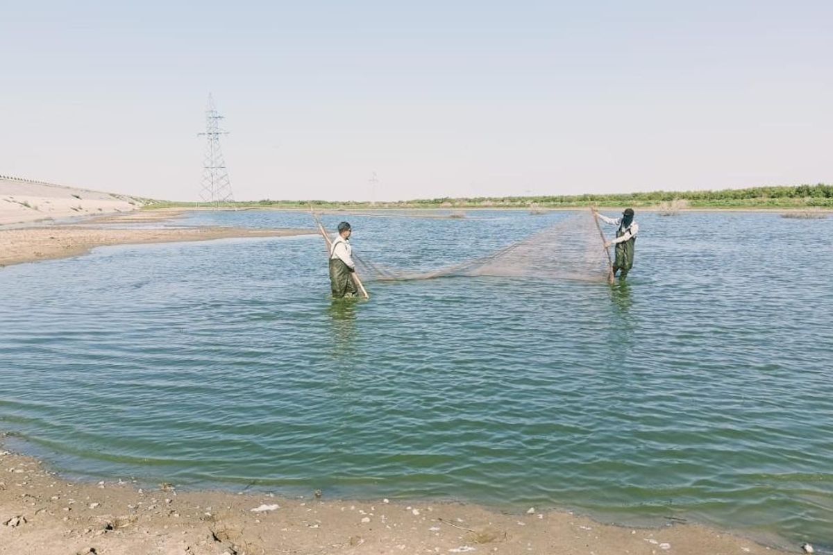 фото министерства сельского хозяйства Республики Казахстан