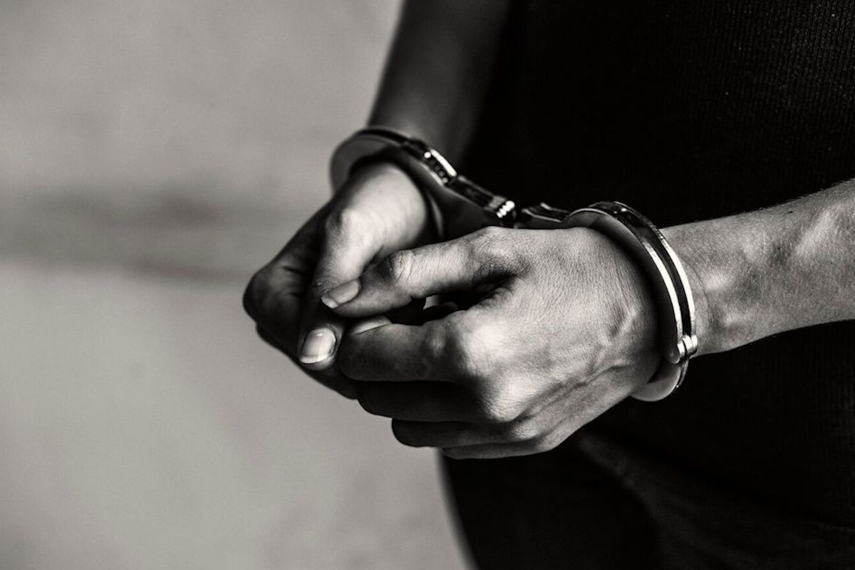 фото из открытых источников