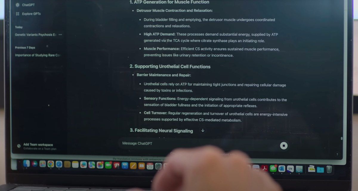 стоп-кадр видео