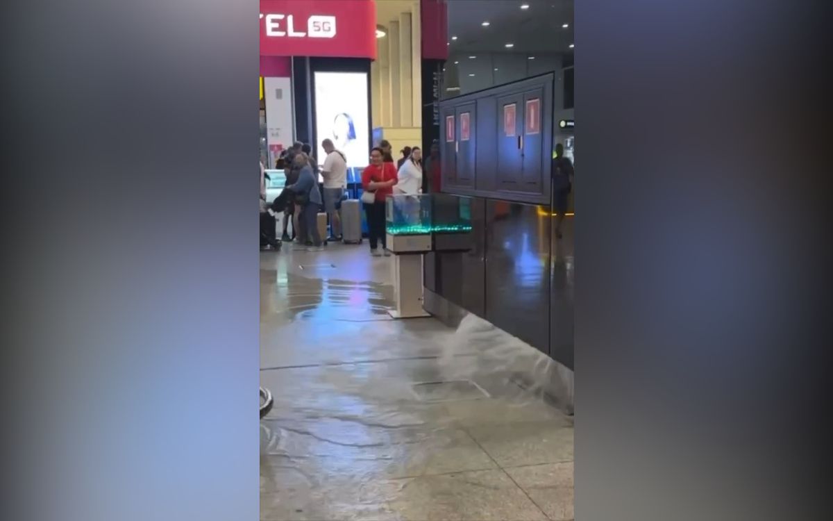 стоп-кадр видео