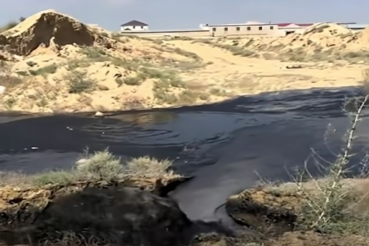 скриншот видео