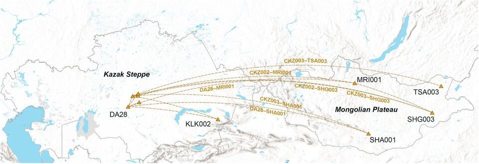 Родственные связи между людьми, выявленные с помощью анализа общих по происхождению блоков сцепления Ayken Askapuli et al. / bioRxiv, 2025