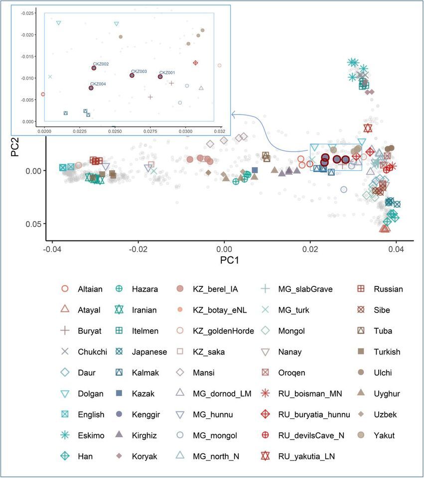 Результаты анализа методом главных компонент Ayken Askapuli et al. / bioRxiv, 2025
