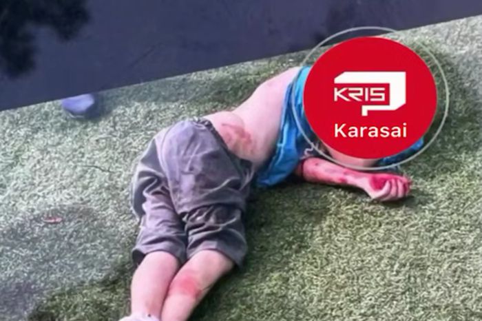 В Алматинской области собаки растерзали 10-летнего мальчика