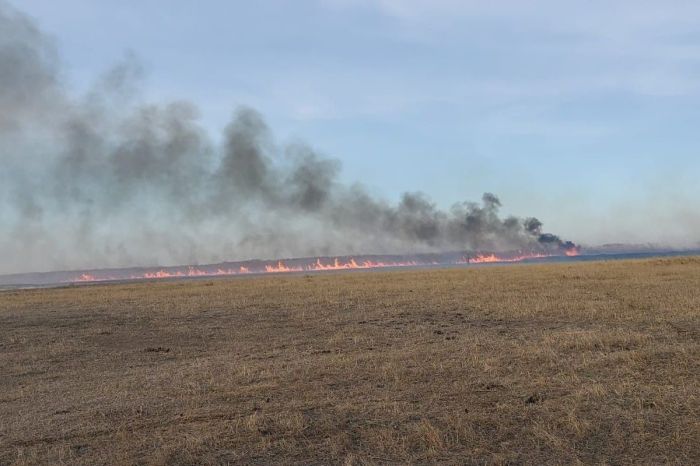 ​Сезон гари в Атырау: что делает власть и почему этого мало