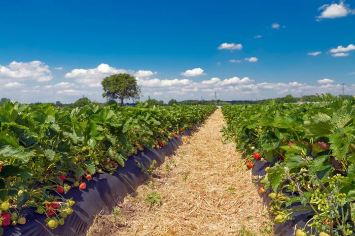 Казахстанцы массово отправляют деньги из Британии: переводы выросли до рекордных 3,6 млрд тенге