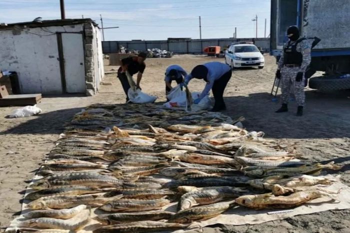 Браконьерам выставили счёт почти на 17 млн тенге