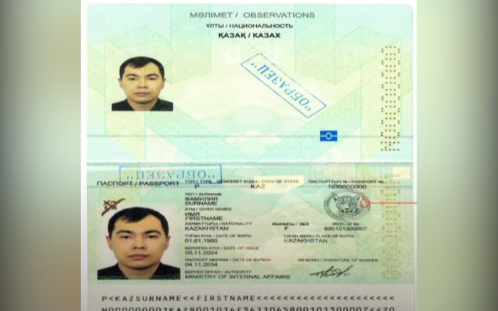 В паспорте Казахстана появится снежный барс