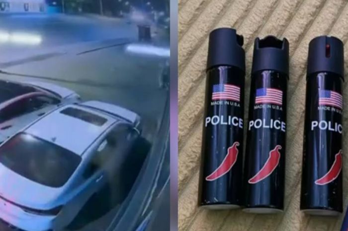 В Алматы задержана группа ночных грабителей