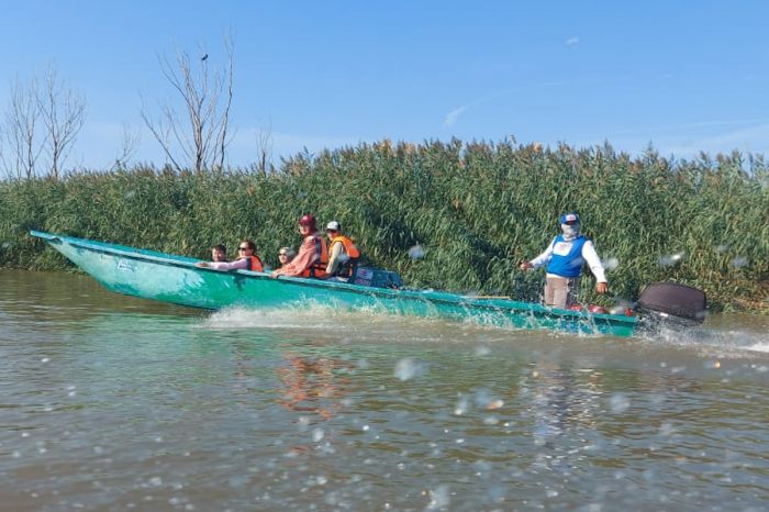 Как Тениз встречал Lotus Fest