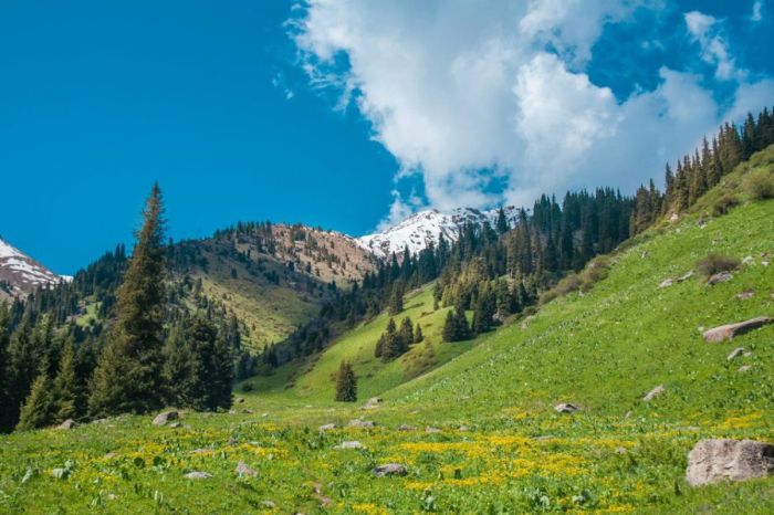 Пропавший в горах Алматы 20-летний парень найден мёртвым