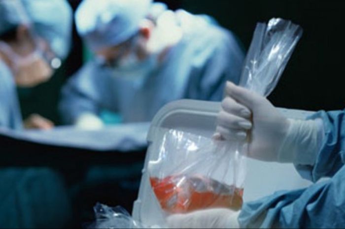 В Павлодаре задержана иностранка по делу о продаже органа