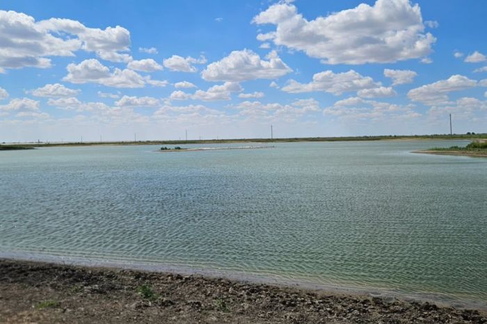 В паводковых водоёмах Атырауской области кончается кислород