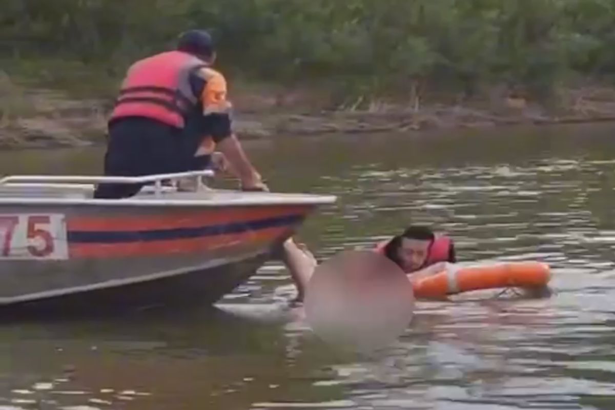 скриншот видео скриншот видео