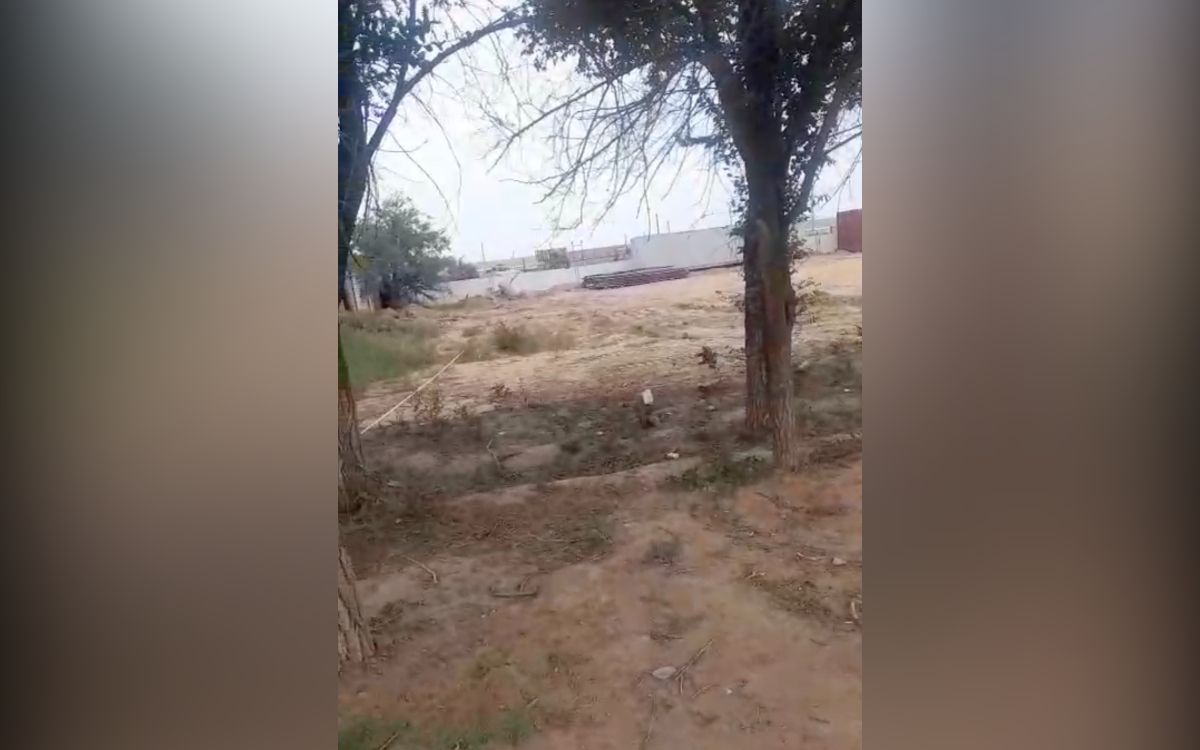 стоп-кадр видео стоп-кадр видео