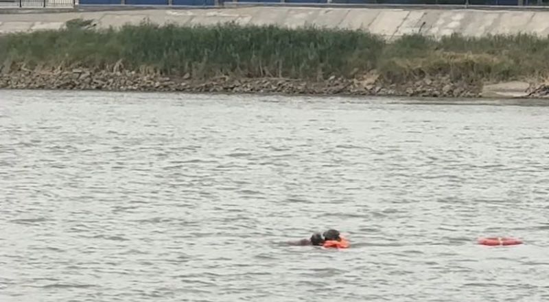 стоп-кадр видео стоп-кадр видео