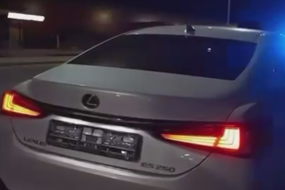 скриншот видео скриншот видео