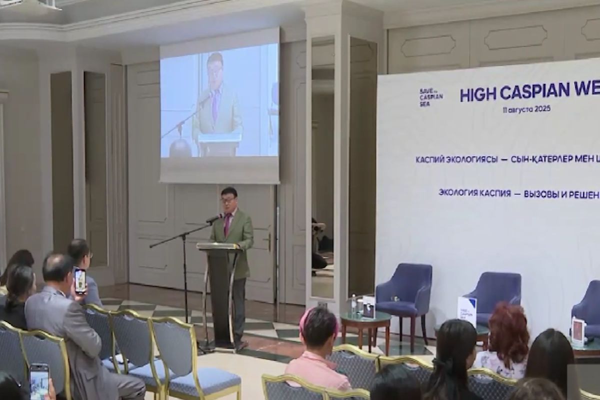 скриншот видео скриншот видео