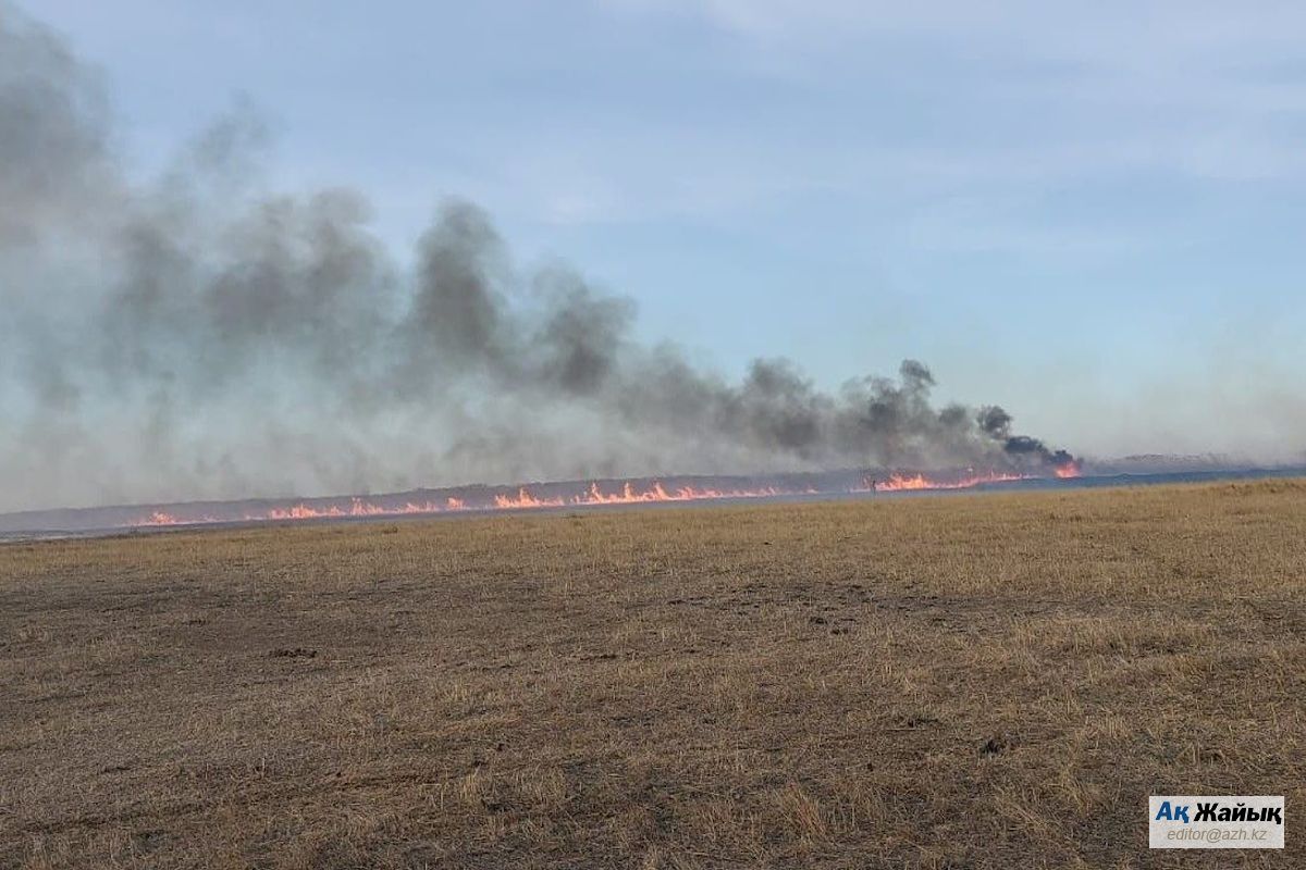 иллюстративное фото иллюстративное фото