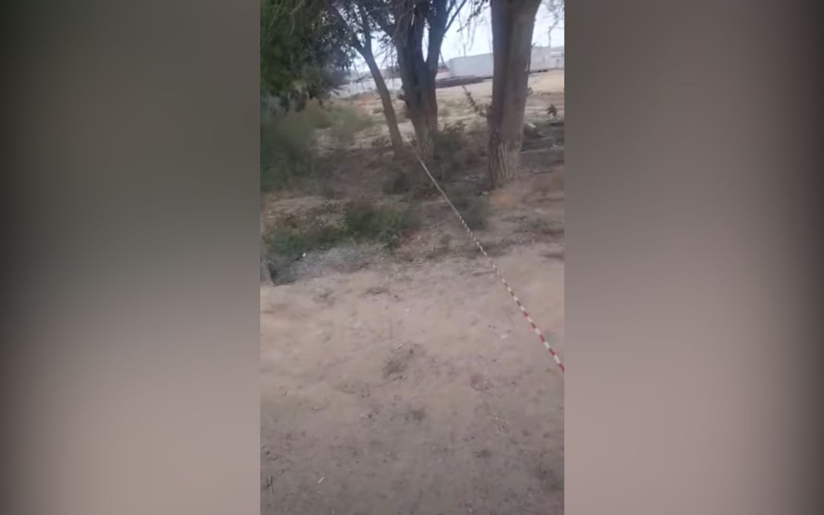 стоп-кадр видео стоп-кадр видео