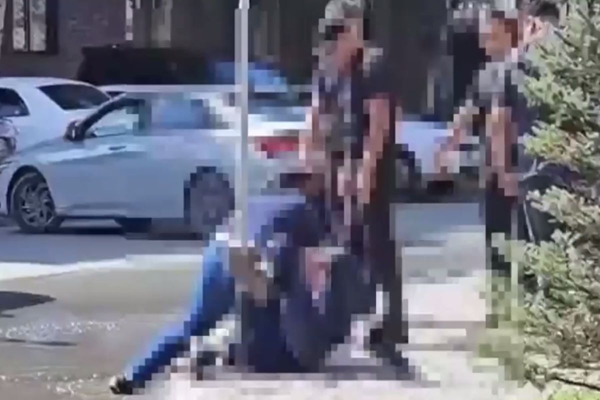 скриншот видео скриншот видео