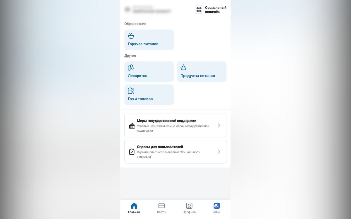 социальный кошелек в приложении eGov Mobile
