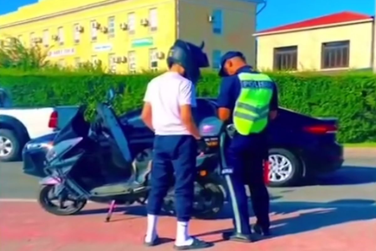 скриншот видео скриншот видео